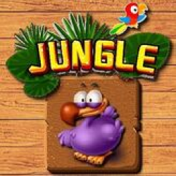 Jungle Matching