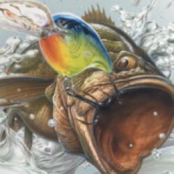 Rapala Pro Fishing