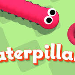 Caterpillars