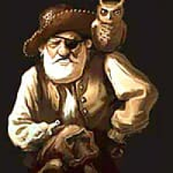 Pirates of the stupid Seas 2